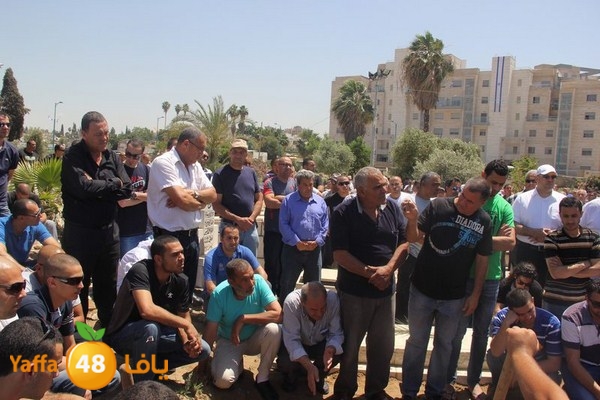 jaanzaa 0501 (35).JPG